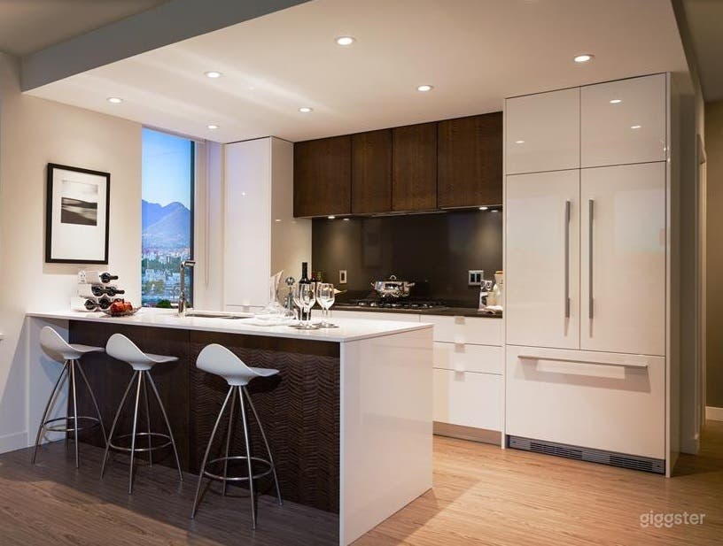 Open mid century  modern kitchen. Loads of lights, premium finishes and range.