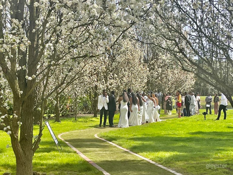  Lieu de mariage pittoresque Jardin de Roses & Chapelle à Mornington 