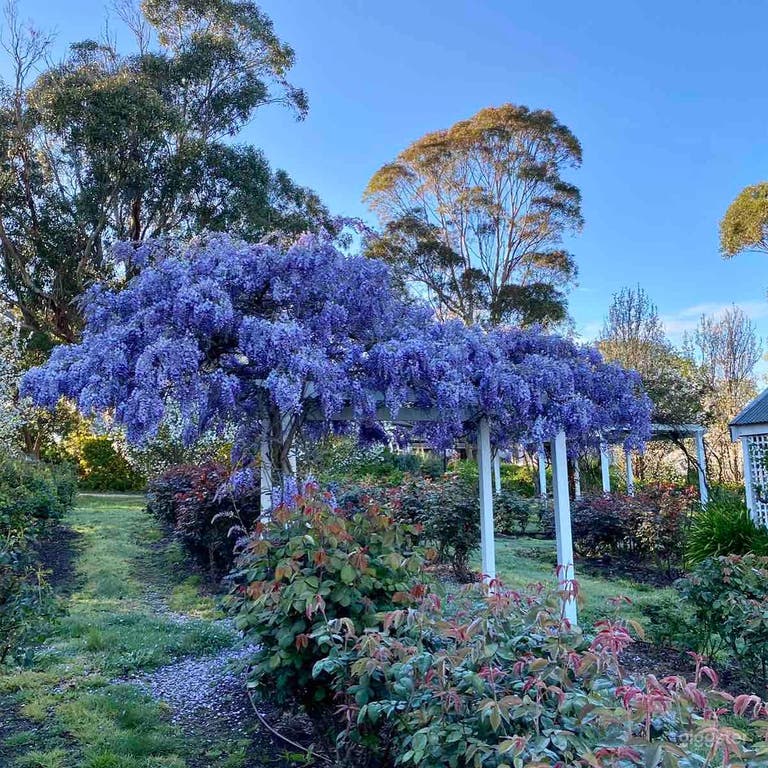  La porte du Dalywaters Rose Garden & Chapel est ouverte à tous. Nous avons hâte de faire partie de vos événements mémorables et passionnants... Bienvenue à Dalywaters, le pays des mariages de contes de fées et des occasions de rêve. De nombreuses caractéristiques classiques et la nature sont toutes réunies en un seul lieu. 