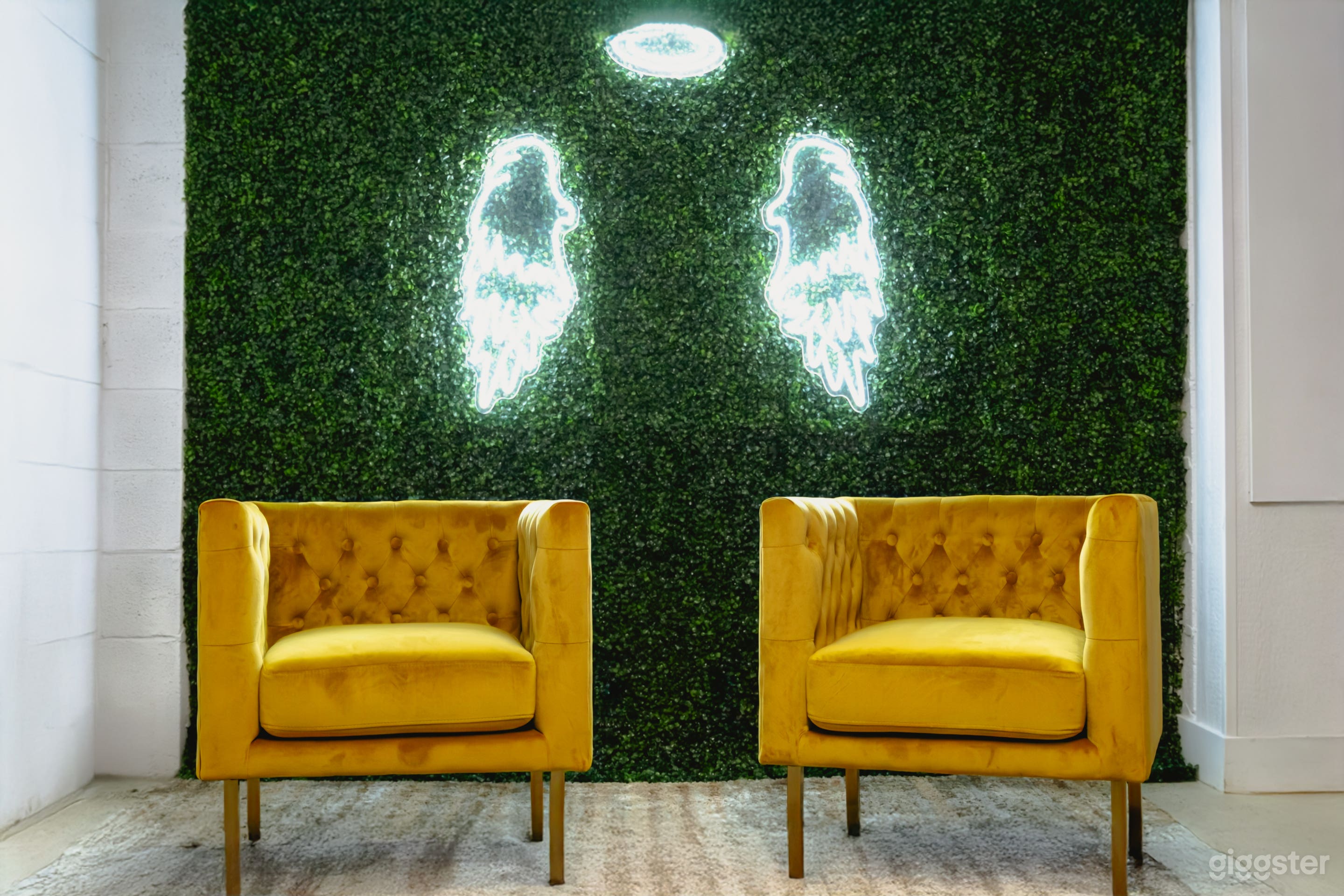 Dallas Content Studio / Green Cyc Wall / Photo / Podcast Photo 3