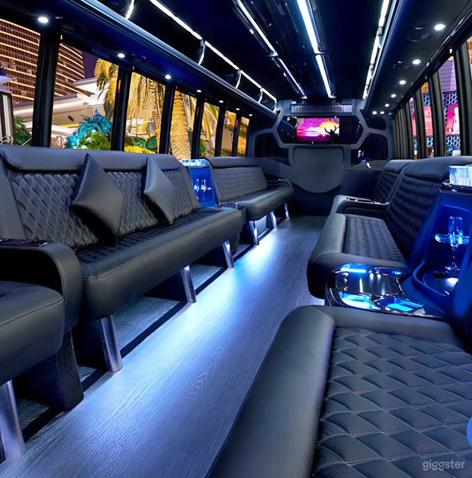 38 Pax Party Bus Photo 3