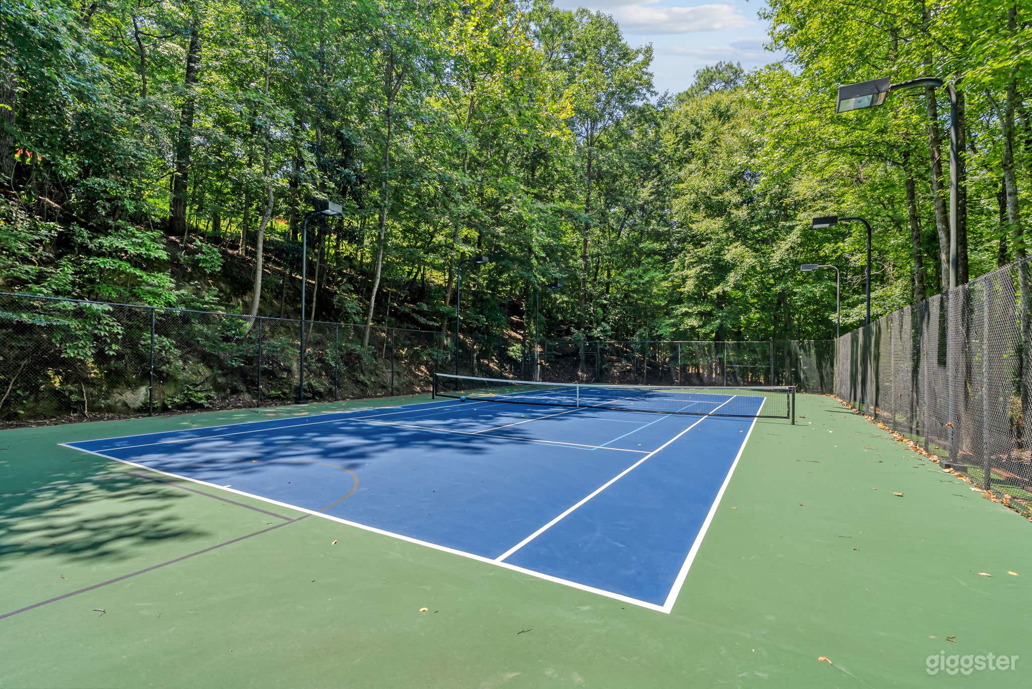 Luxury Mansion in Buckhead Photo 4