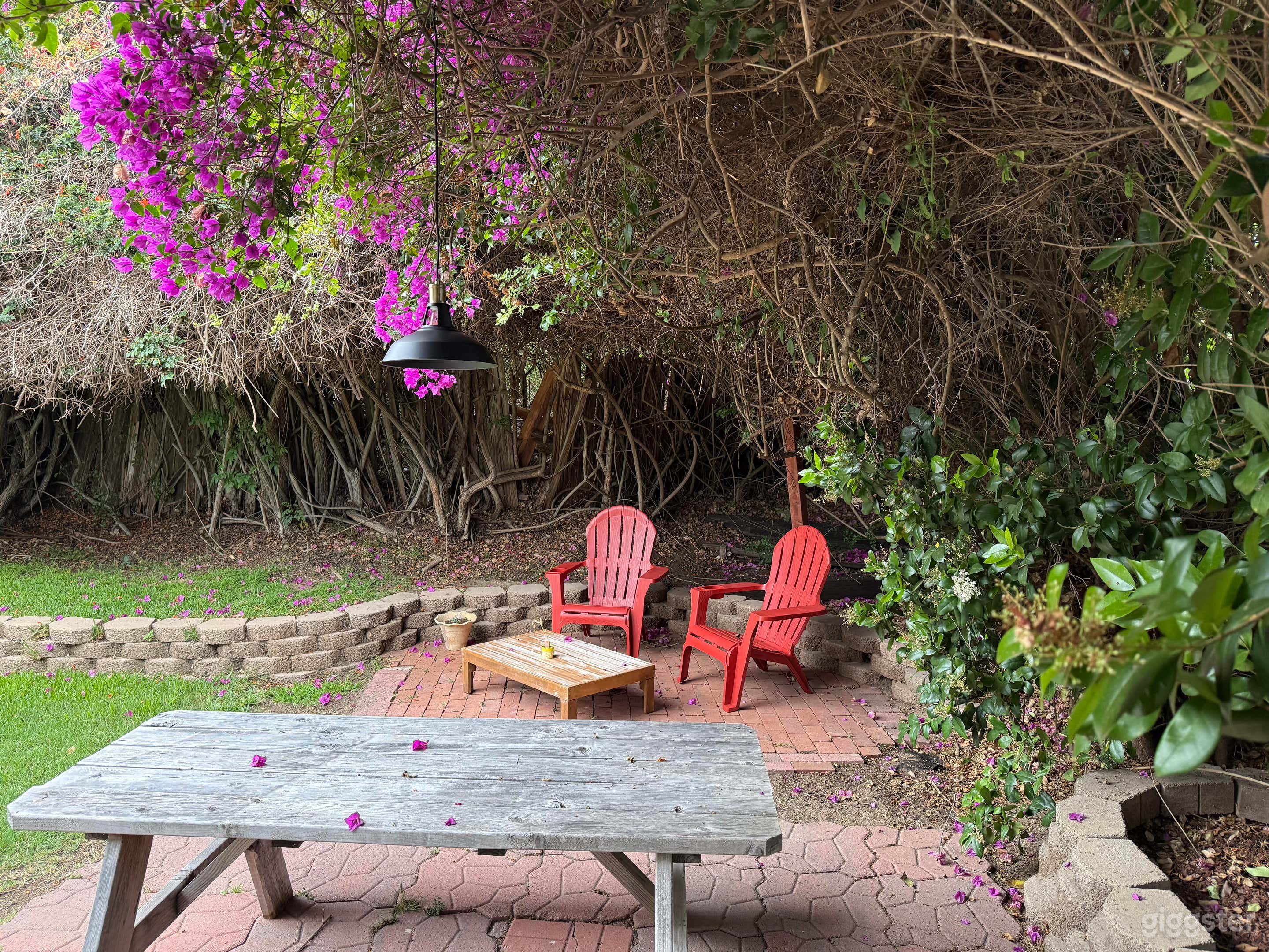 Lush backyard with furniture, lights, picnic table Photo 3
