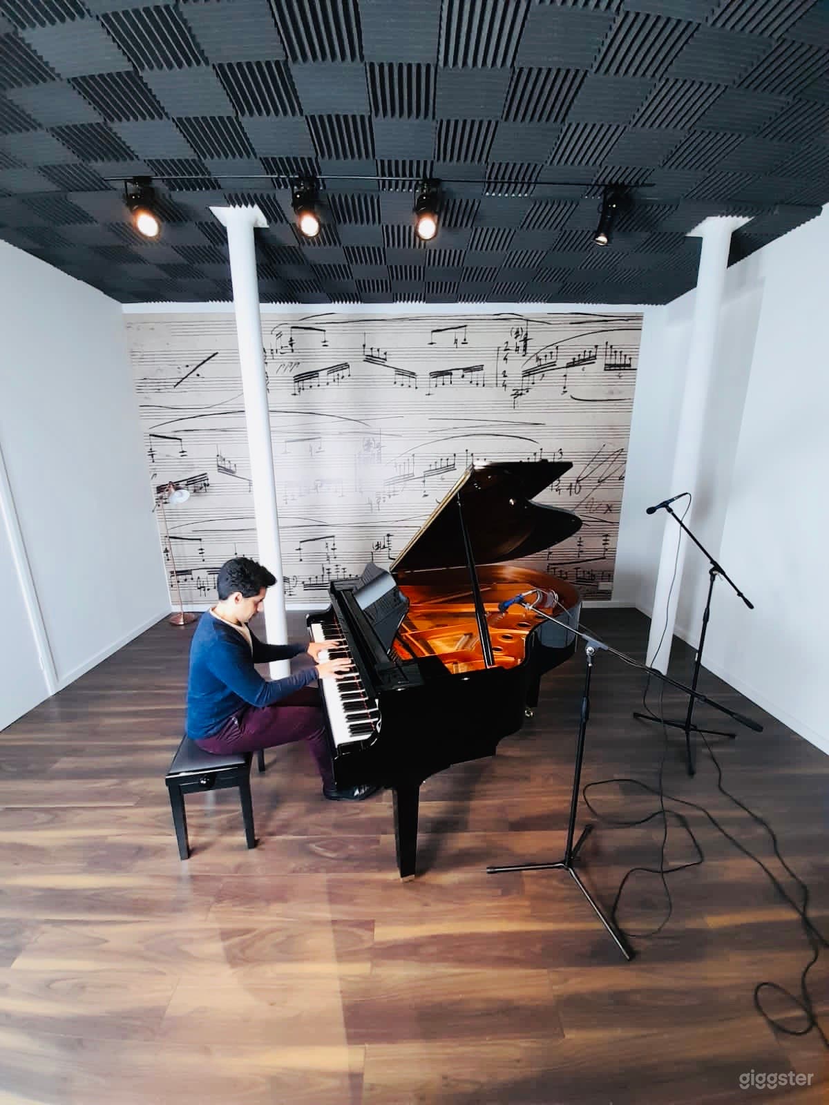 Also, included, Wifi, Lighting, Mic Stands, Cables and WC