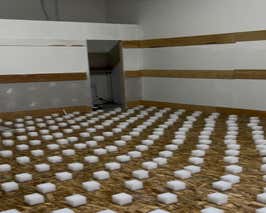  Fitness Studio / Dojo  