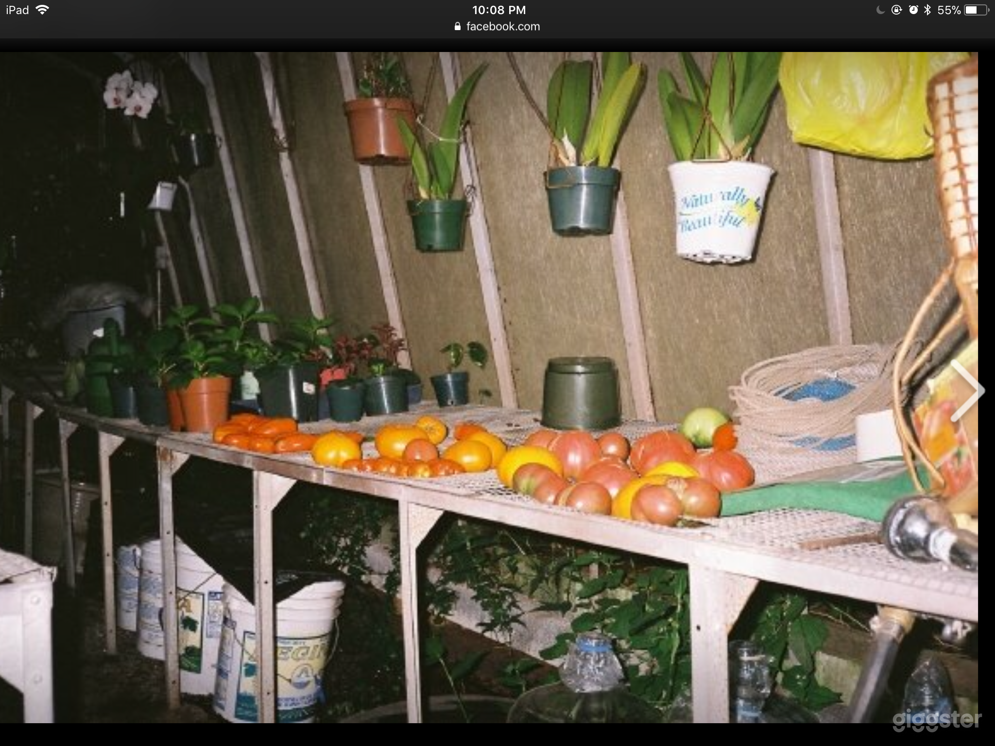 Urban Botanical Garden Photo 4