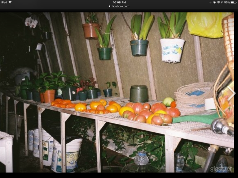  Urban Botanical Garden 