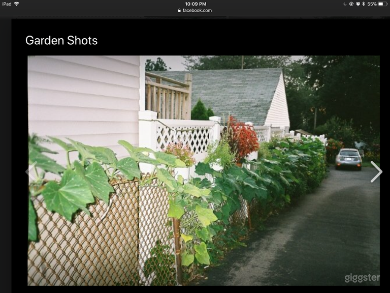  Urban Botanical Garden 