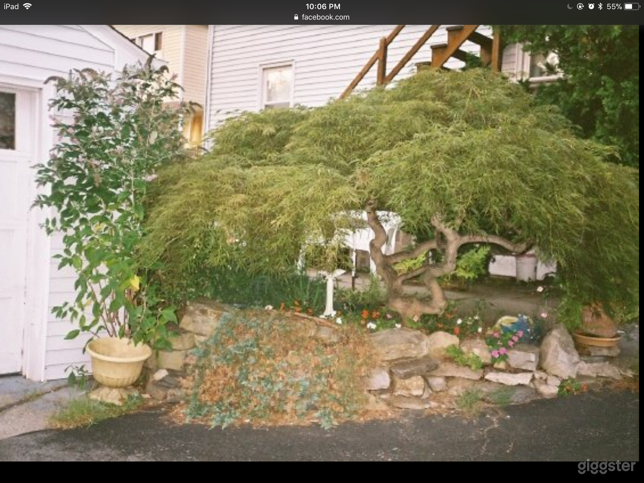 Urban Botanical Garden Photo 3