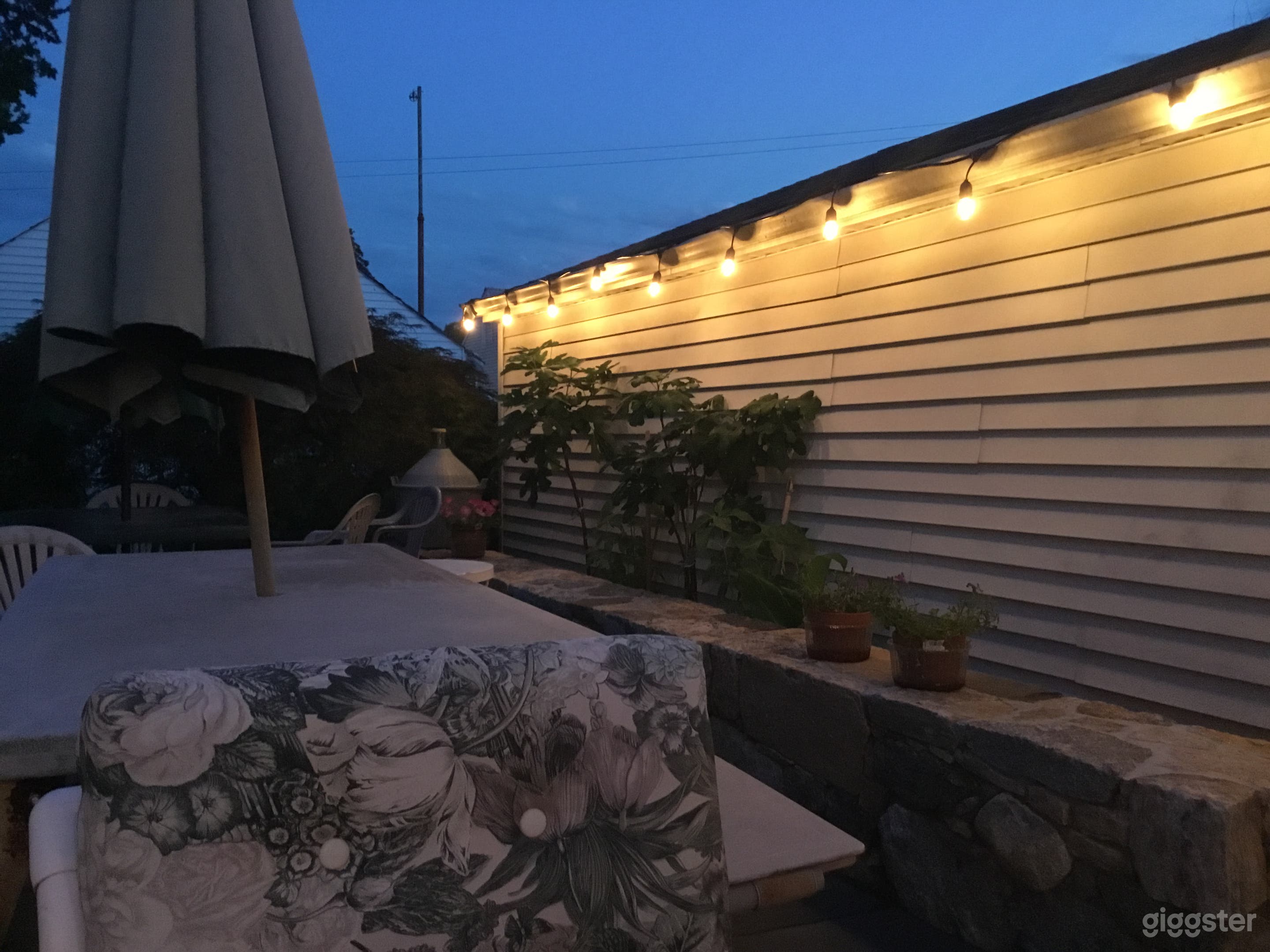 Urban Botanical Garden Photo 2