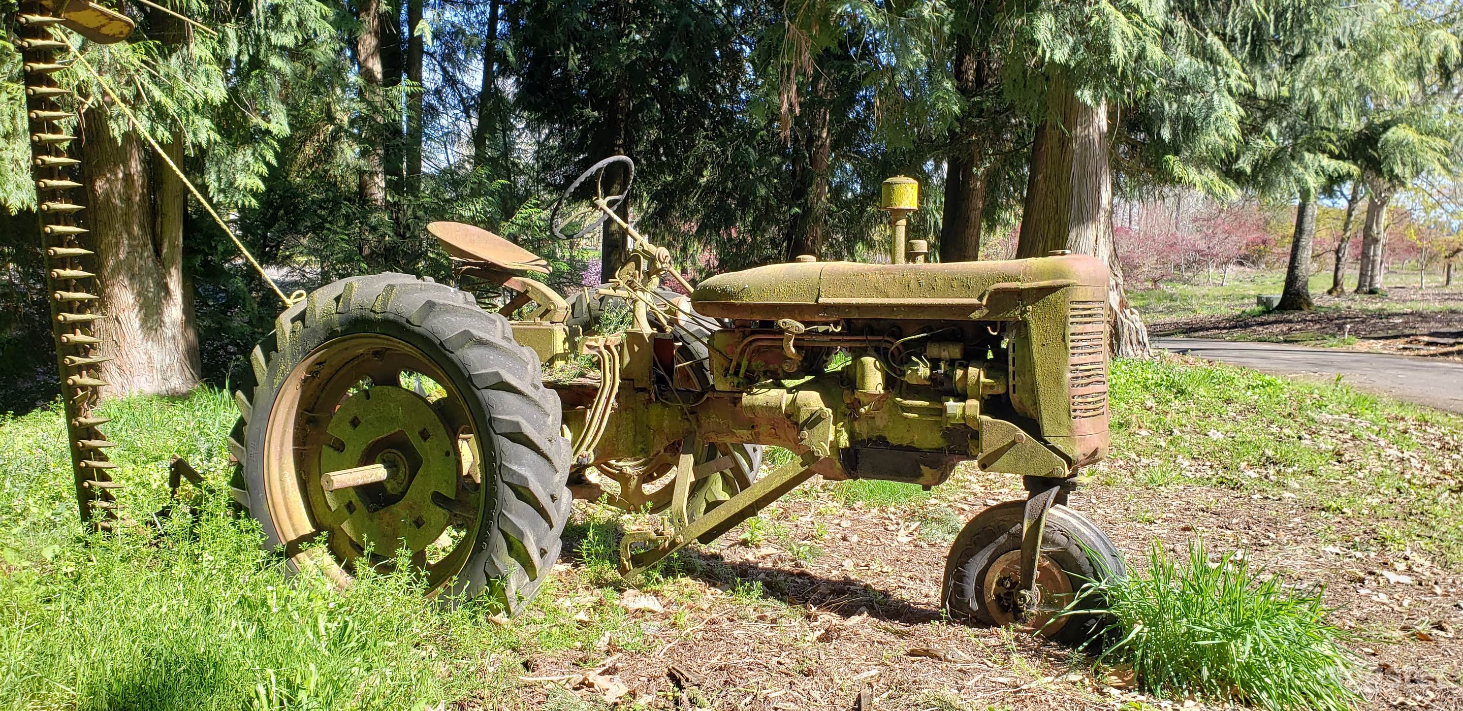 Wooded Groves, Gardens , Trails in Canby (Buyout) Photo 3