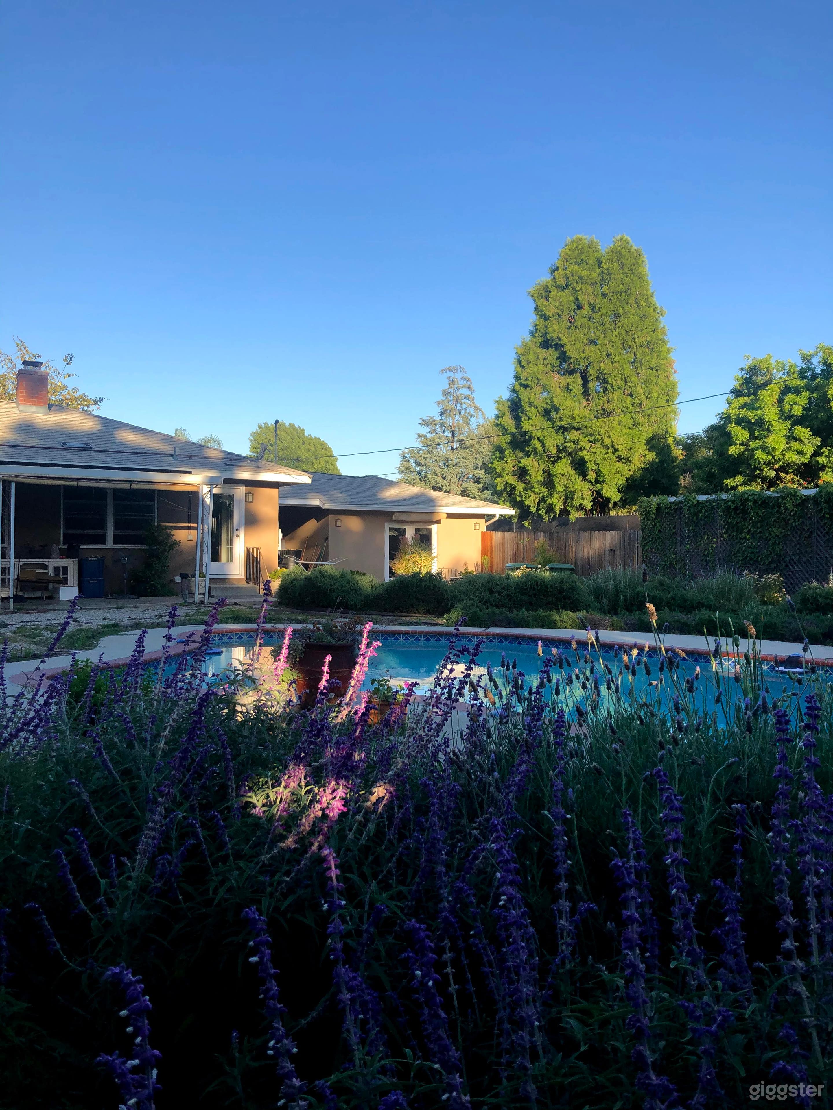 back yard view of the house 
