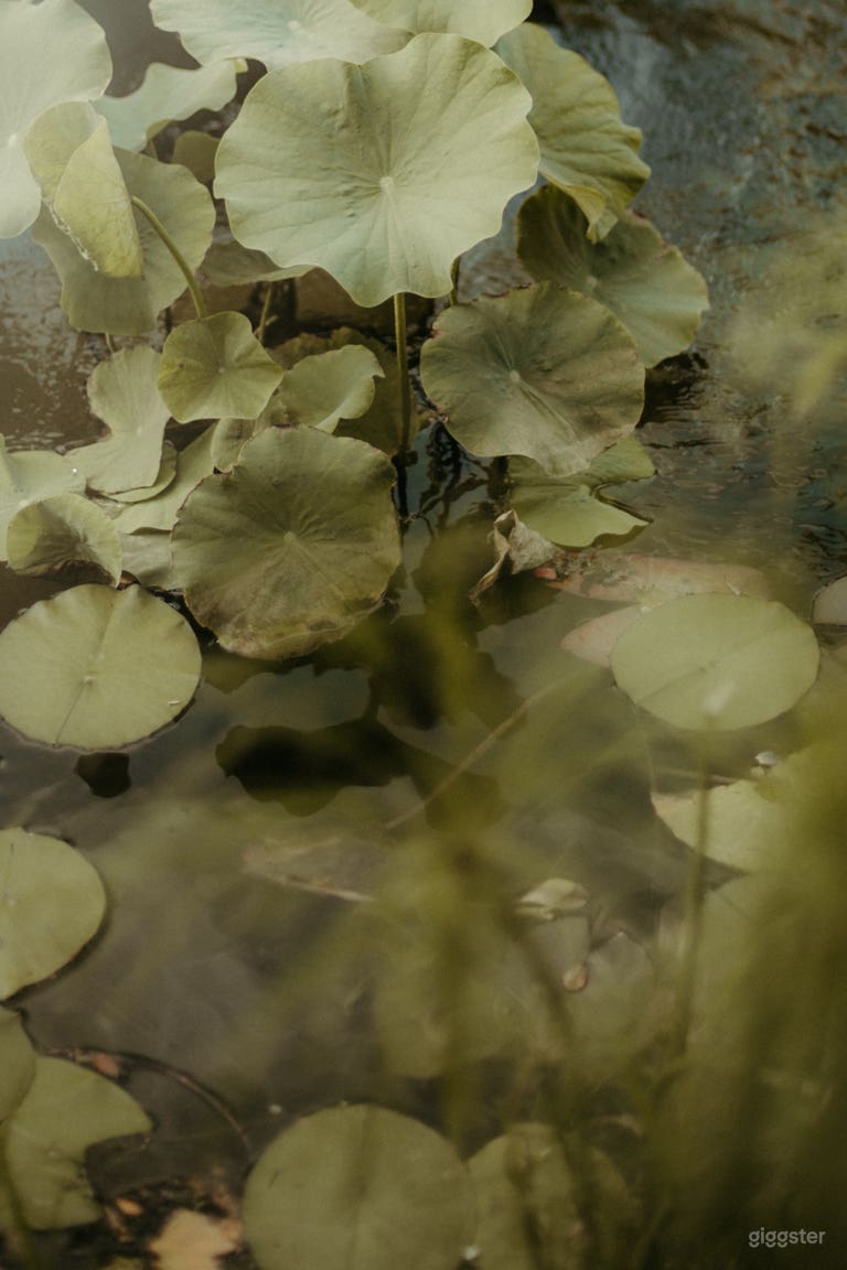  MONGOLIAN YURT | Hand-Carved, Ornate, Cinematic  