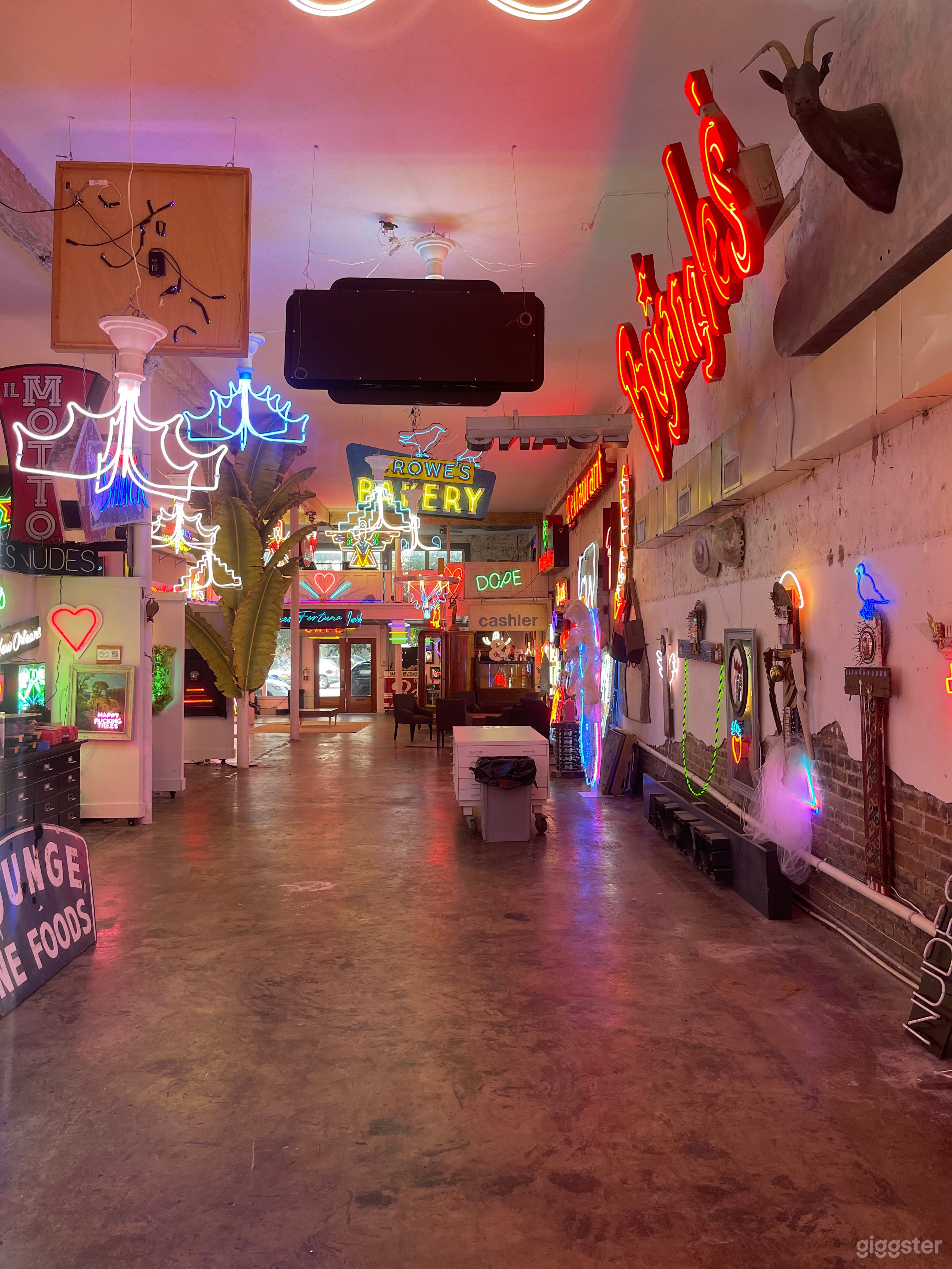 Big Sexy Neon Photo 1