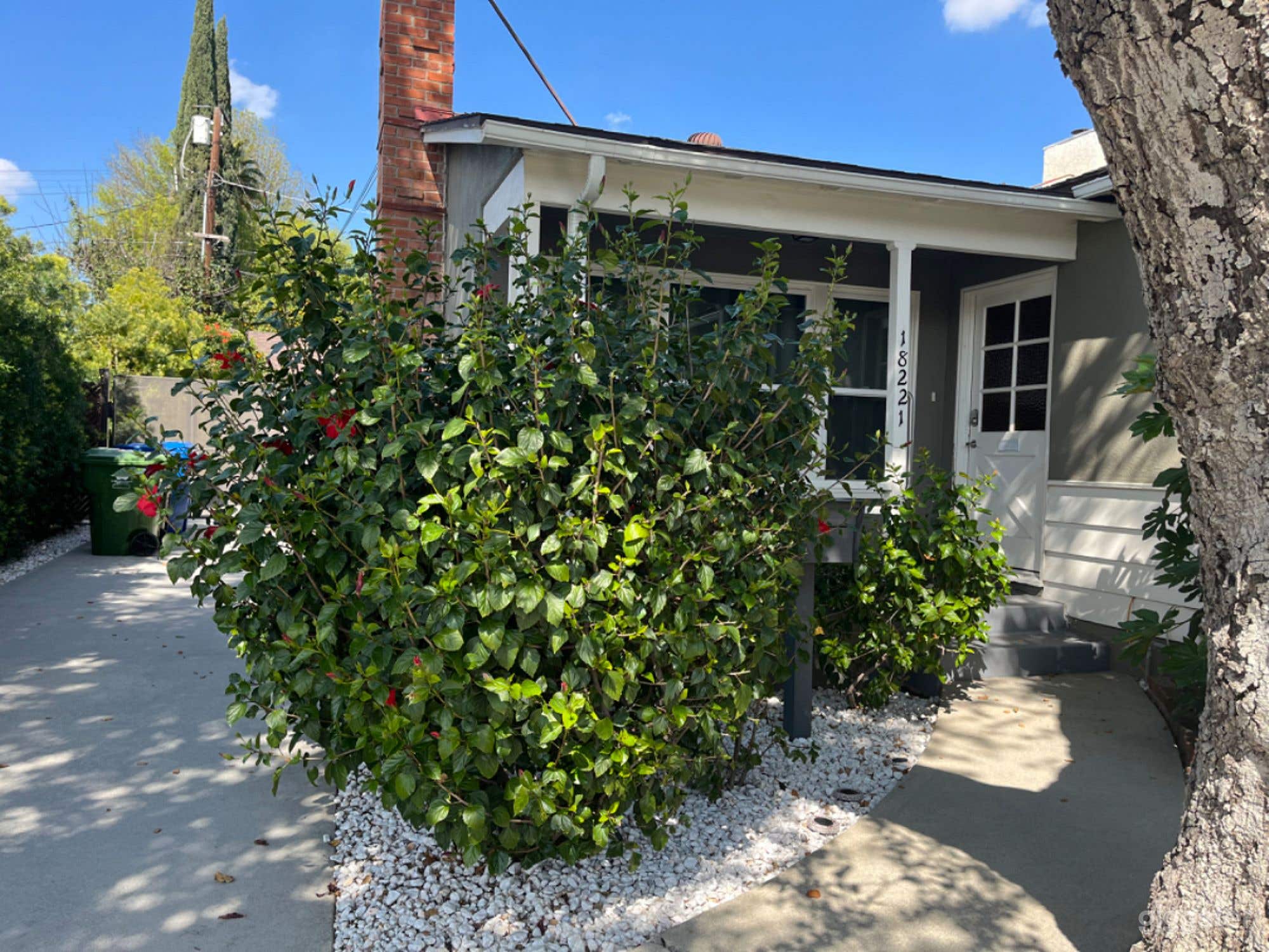 Wonderful Mid-Century Northridge Home with Pool Photo 4