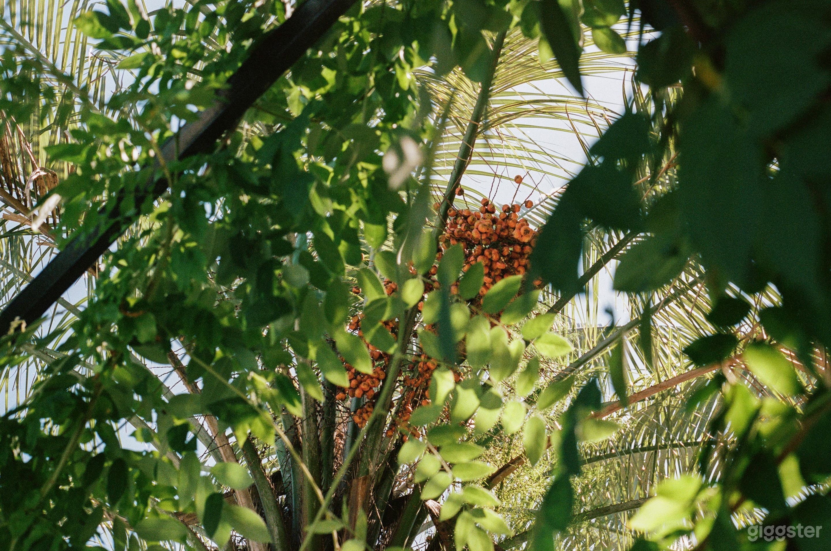 Historic Motel In North Charleston Photo 2