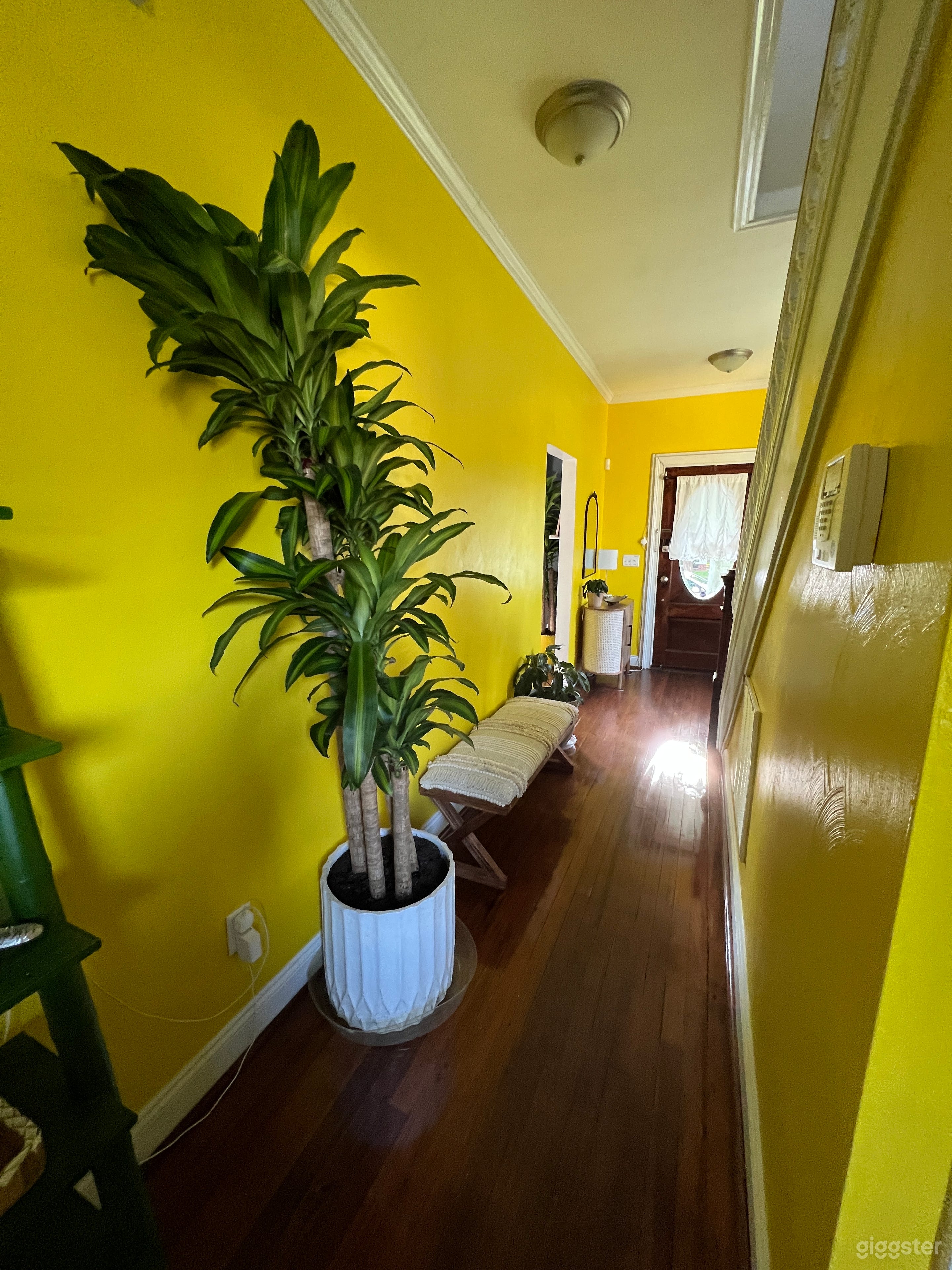 Creation House Photo 3