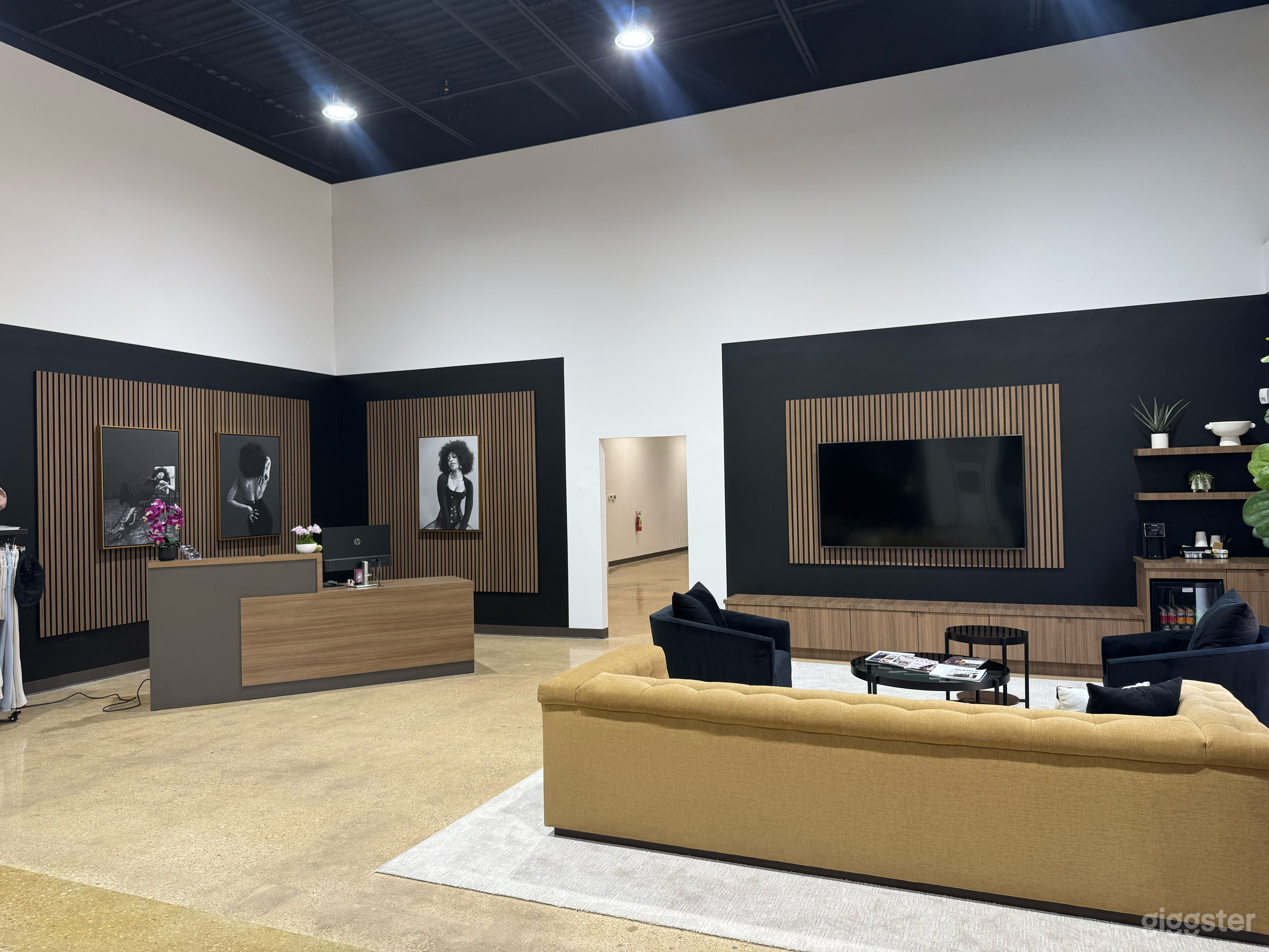 Visionz Designs: Modern Space w/ Luxe Vibes Near Dallas Photo 3