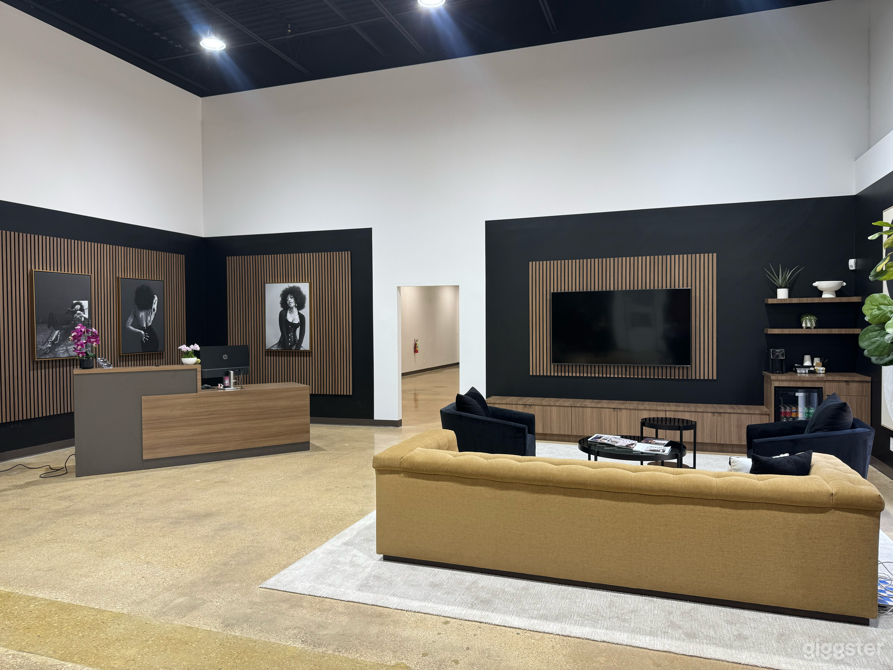 Visionz Designs: Modern Space w/ Luxe Vibes Near Dallas Photo 4