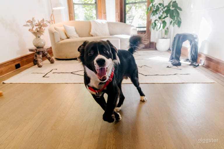  Modern & Restored Brooklyn Brownstone 