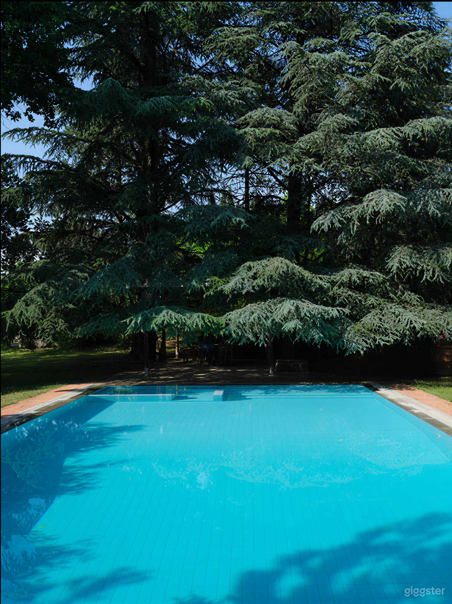 Foto di Piscina Infinity Privata 14×7 m con Ampio Parcheggio 2