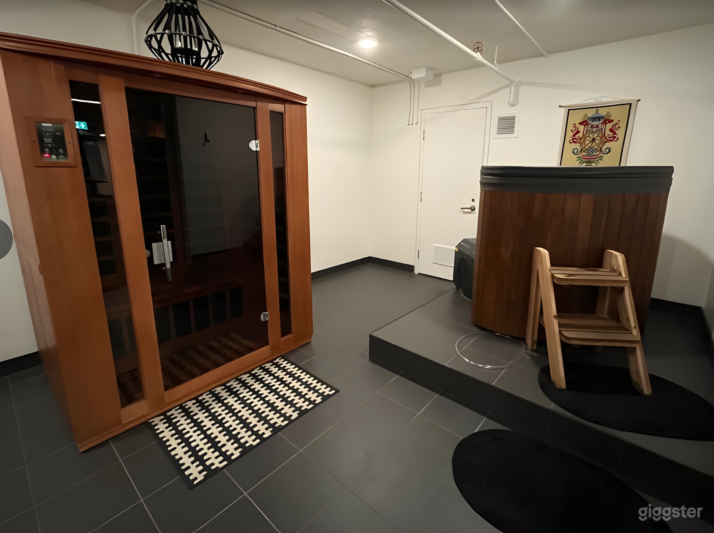 Wellness Space with Ice Bath &amp; Infrared Sauna Photo 1