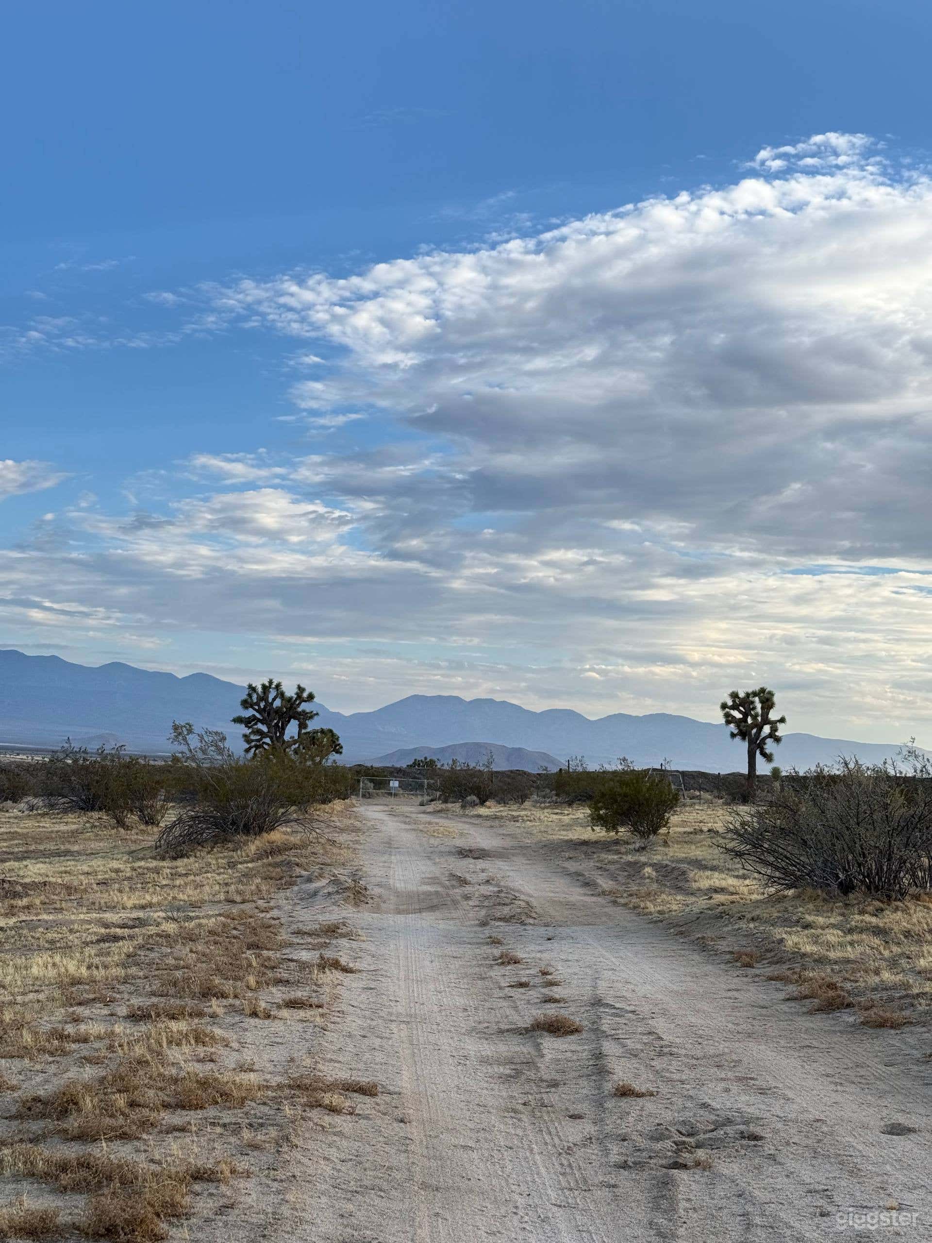 40-Acre Mojave Desert Ranch with Airstrip & Two Houses Photo 3
