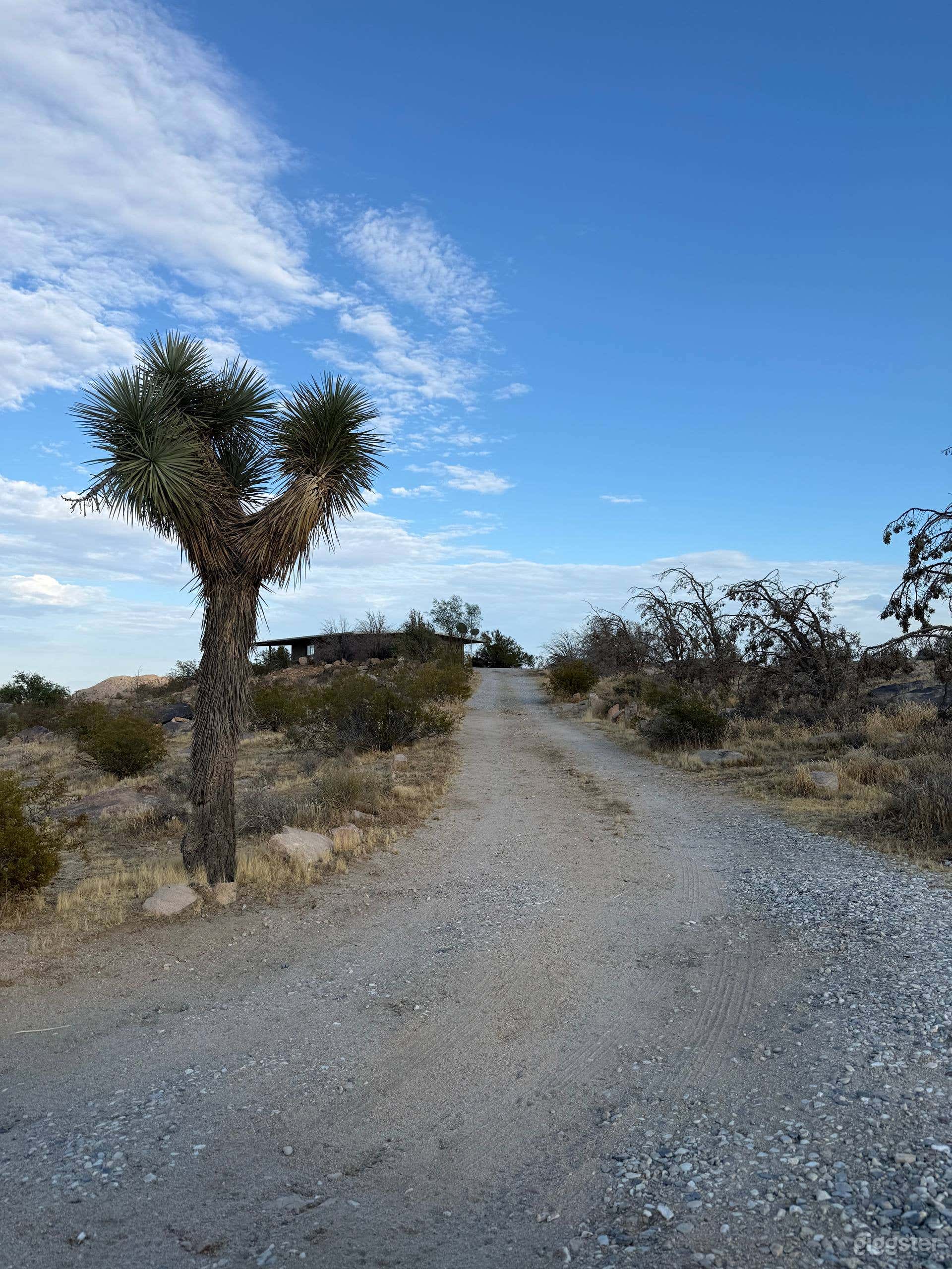 40-Acre Mojave Desert Ranch with Airstrip & Two Houses Photo 1