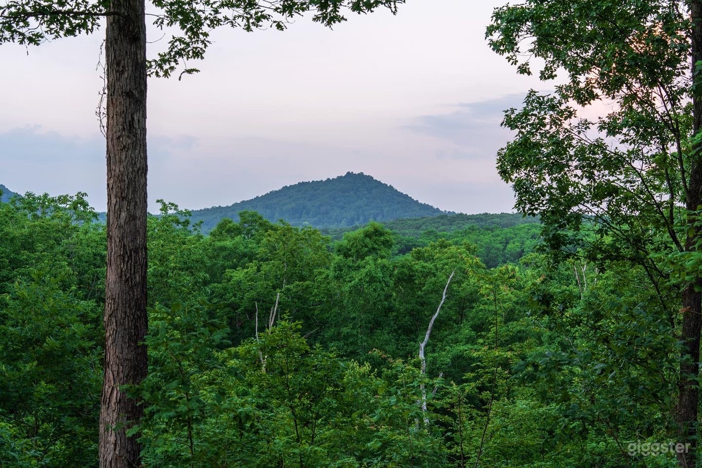Peaceful Countryside with Forest, Fields, Lookout, and Lake Photo 2