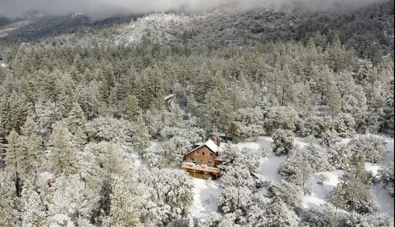 Beautiful Secluded Cabin in the Woods Photo 1