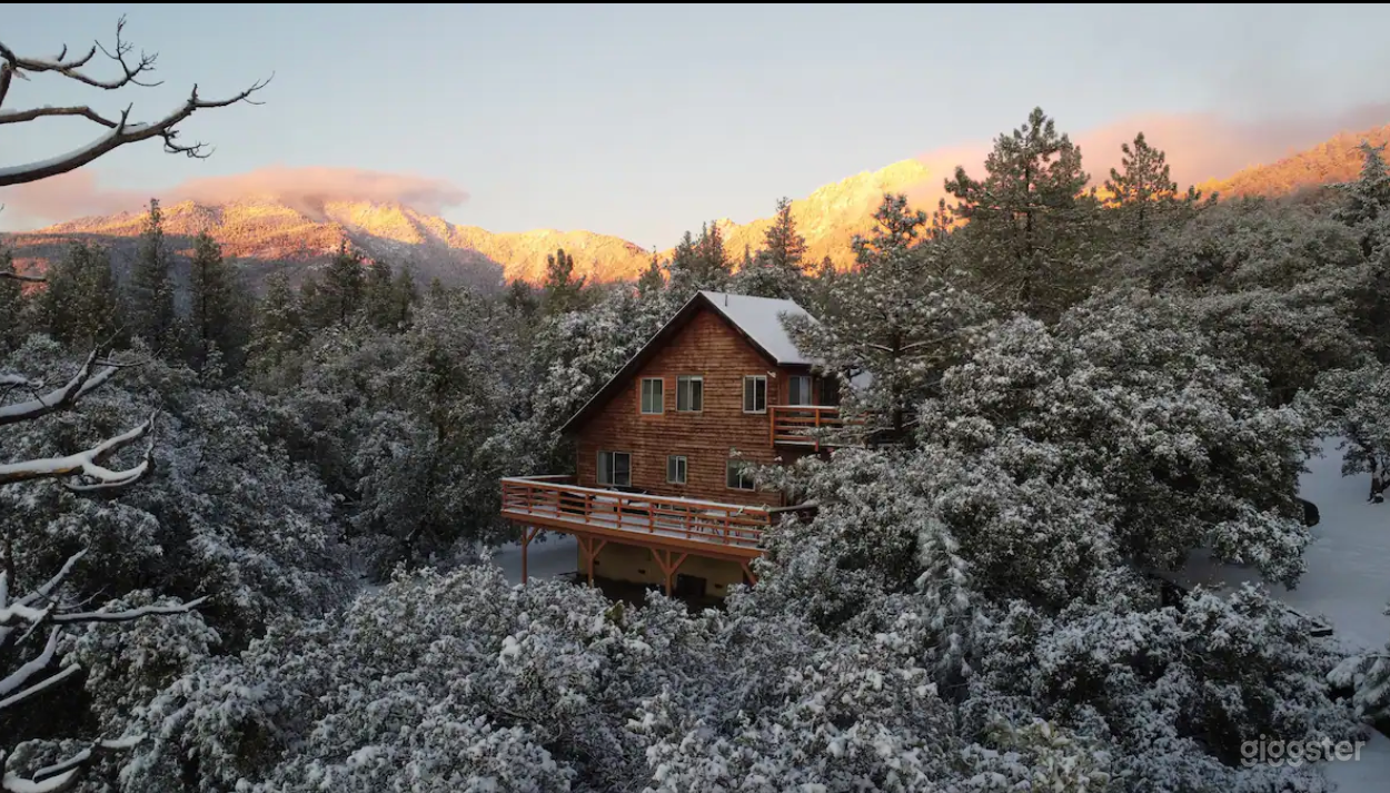 Beautiful Secluded Cabin in the Woods Photo 4