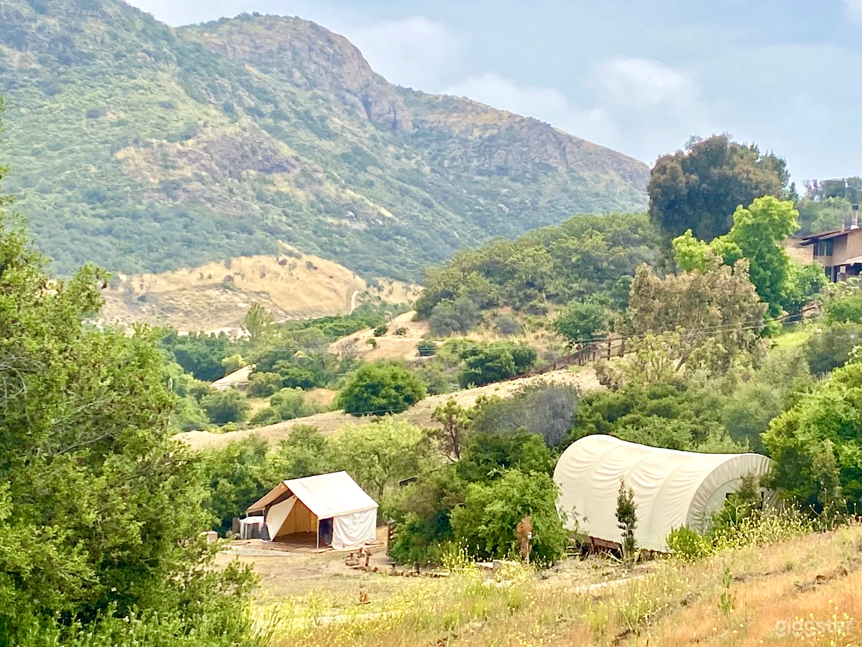Luxury Safari Tent  Photo 4