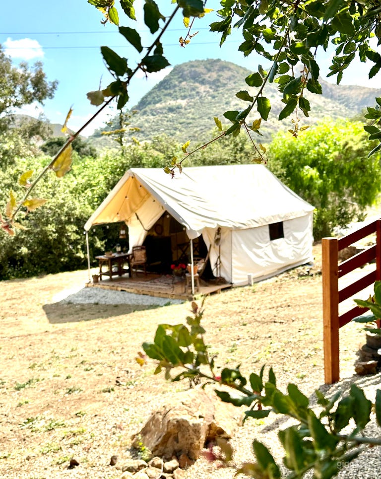  Luxury Safari Tent  