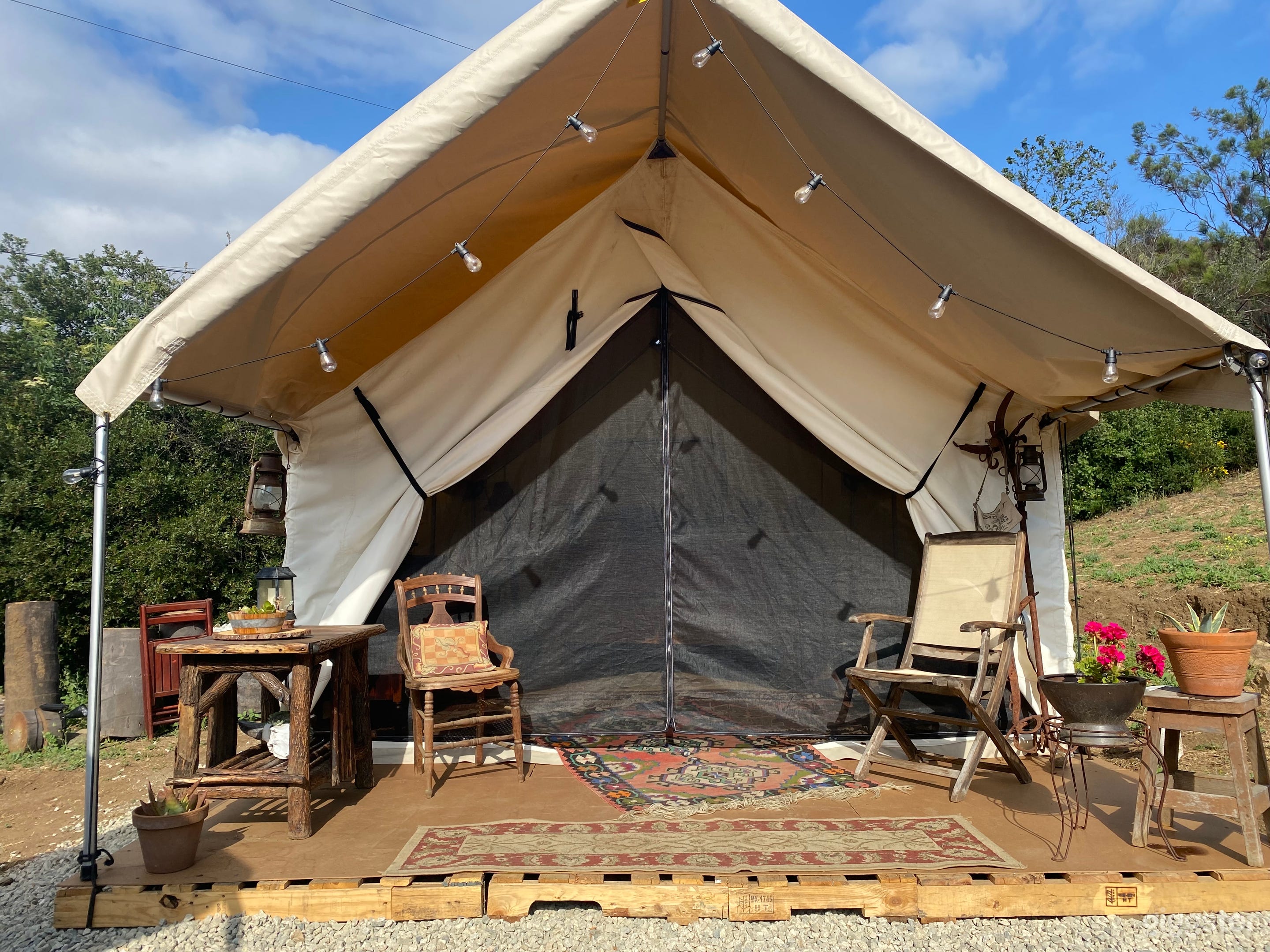 Luxury Safari Tent  Photo 1