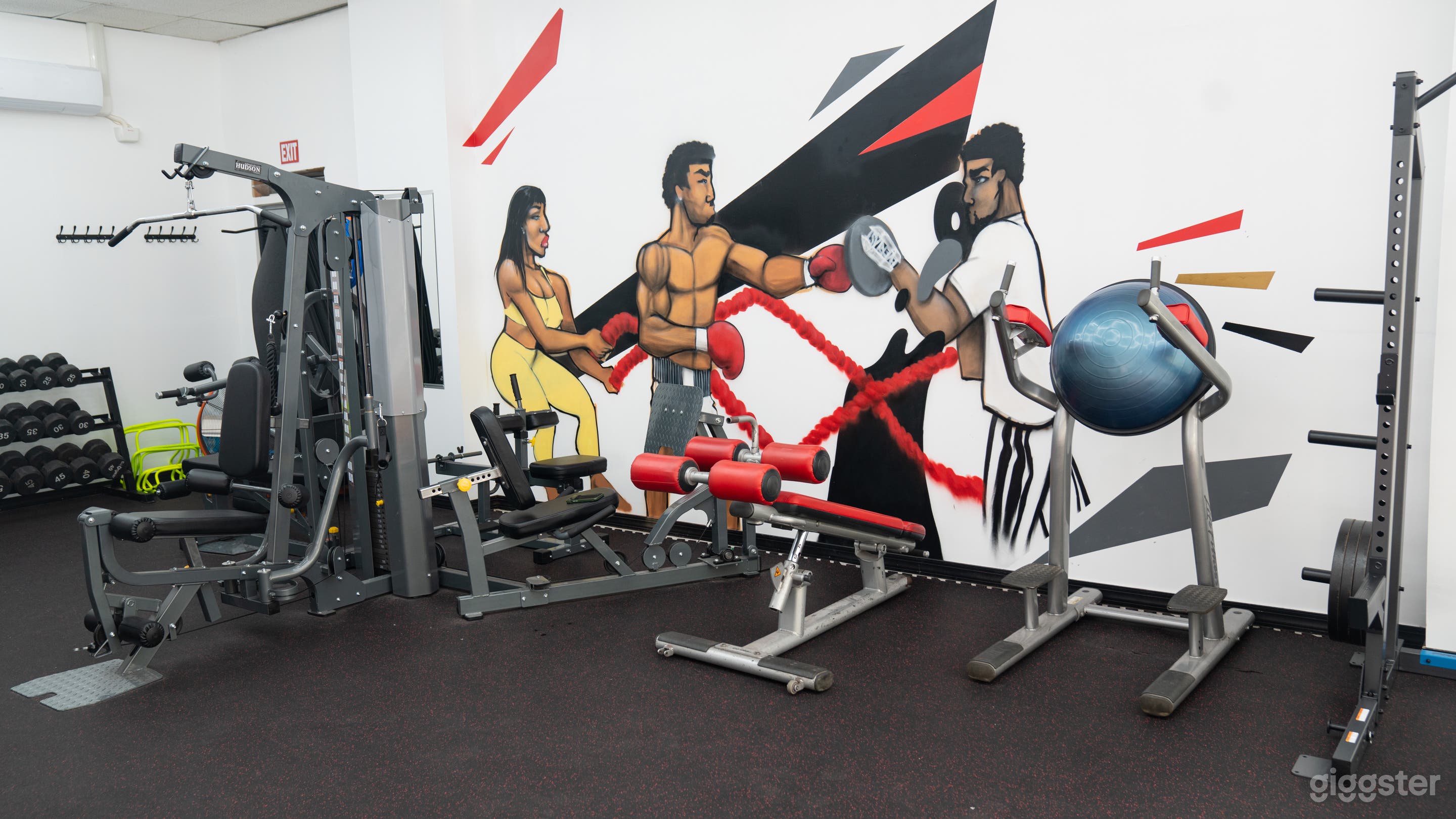 Private Fully Equipped Gym and Fitness Studio Photo 4