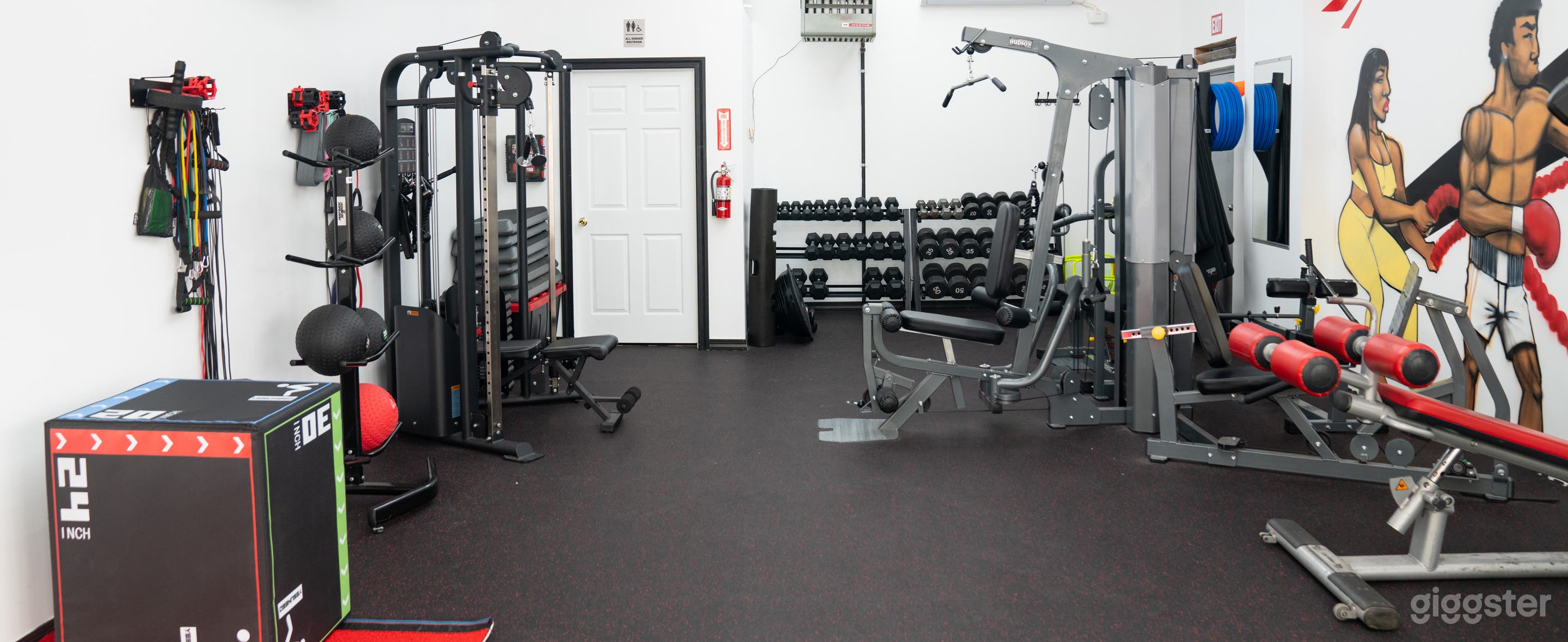 Private Fully Equipped Gym and Fitness Studio Photo 2