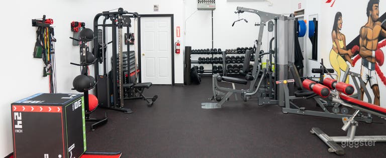  Private Fully Equipped Gym and Fitness Studio 