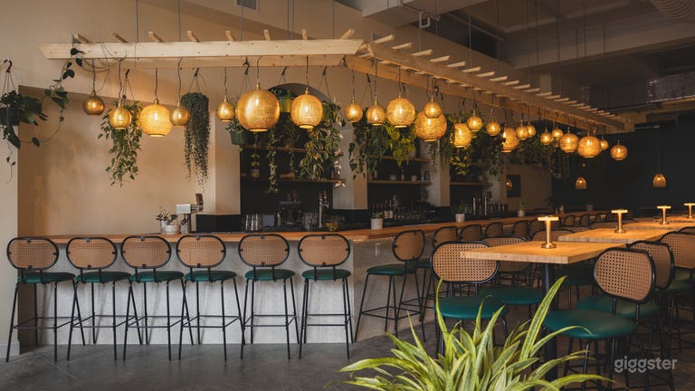  Bar detail with moroccan / boho lighting and hanging plants / trellis. 