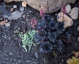  Art Studios and Events 