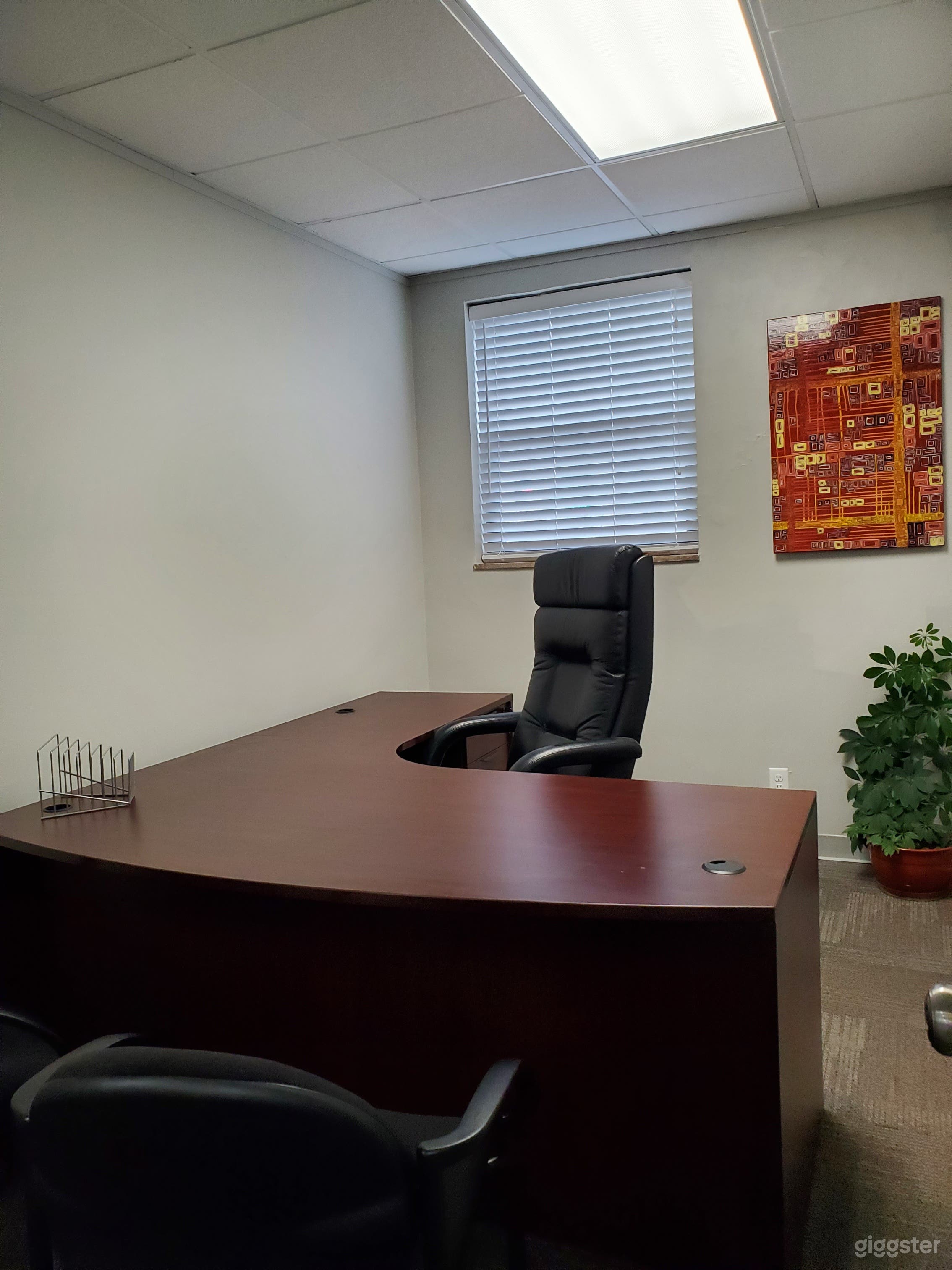 WorkRoom / Private Office- 114 Photo 3