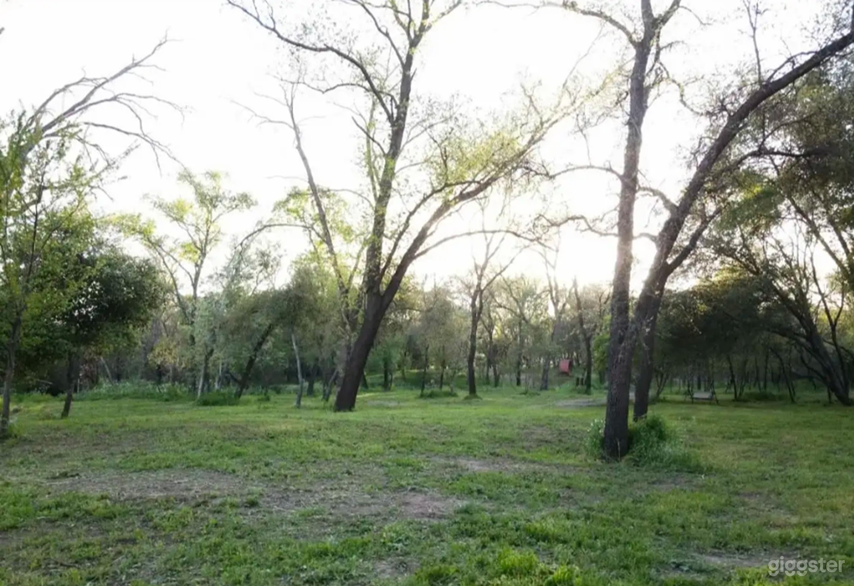 Private Park in the middle of the City Photo 3