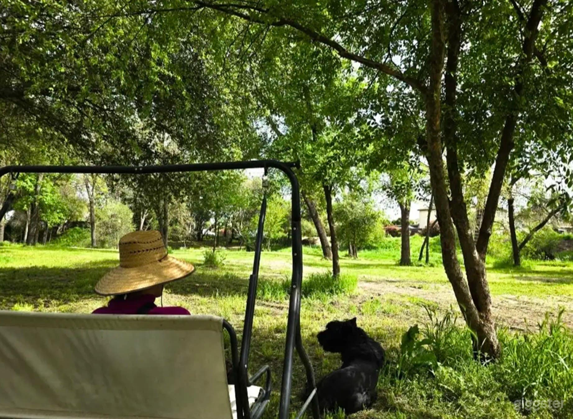 Private Park in the middle of the City Photo 1