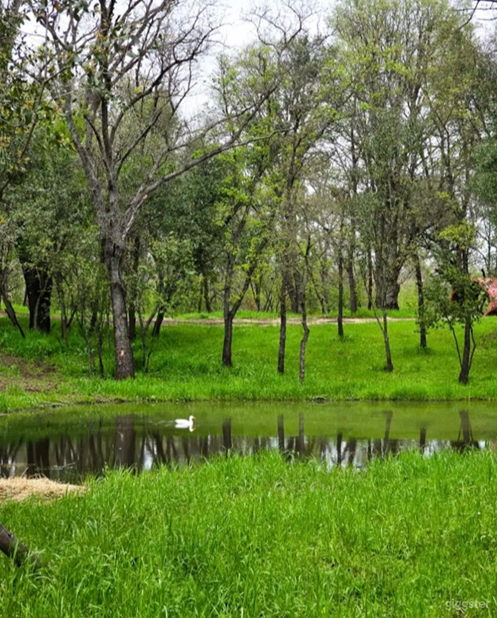 Private Park in the middle of the City Photo 4