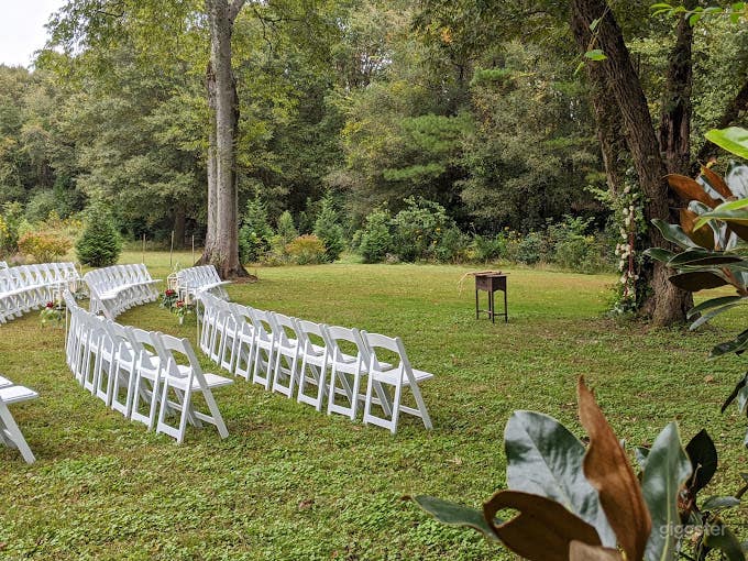 Whimsical and Lush Secret Garden Photo 2