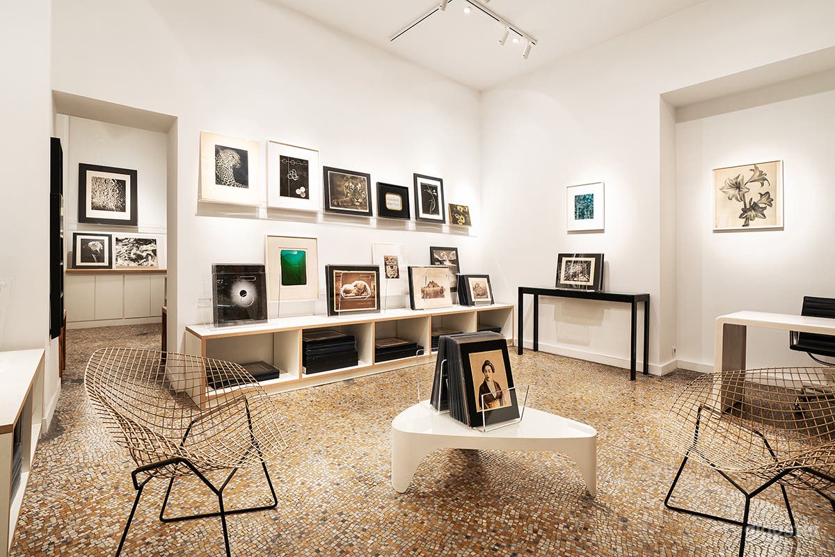 Photo de Galerie d'Art Élégante pour Événements 26 Séances Photo 3