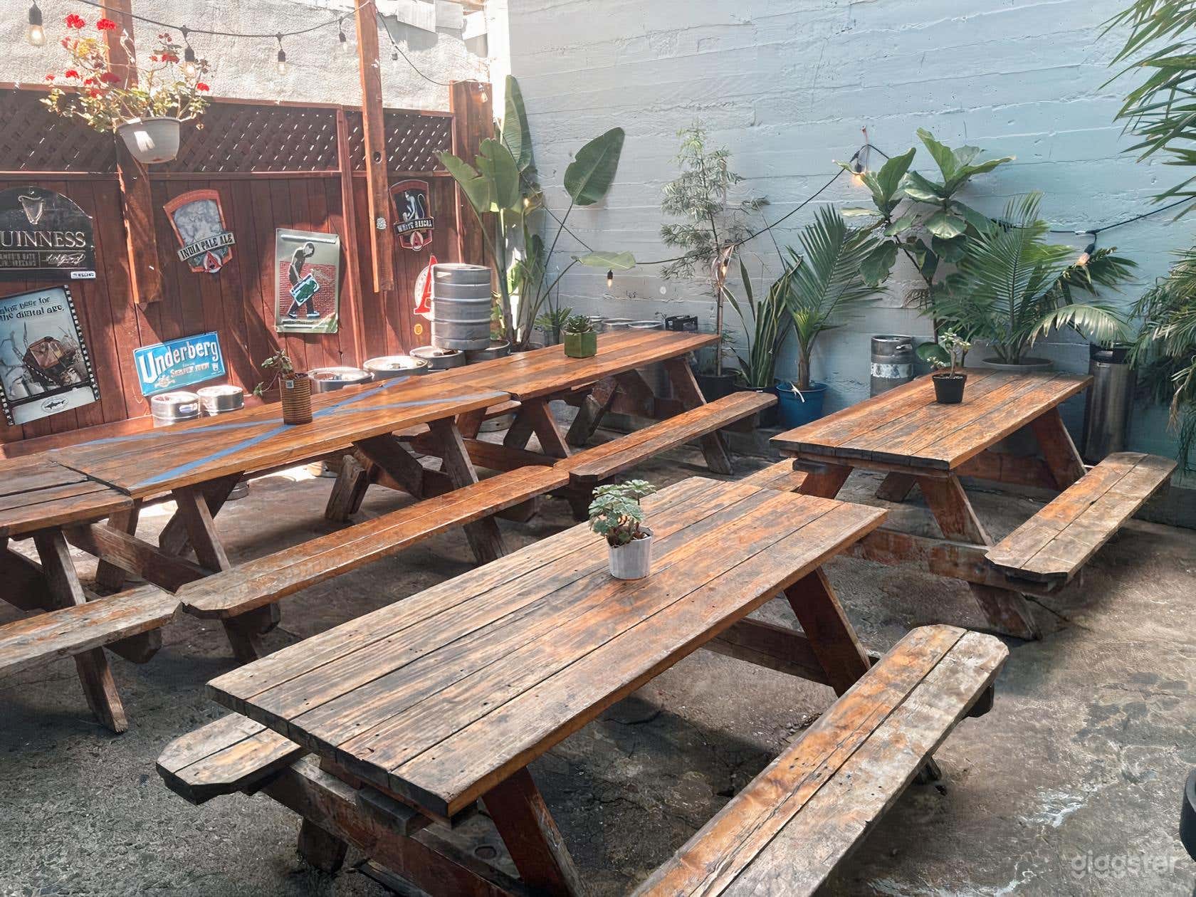 The Sycamore Photo 4