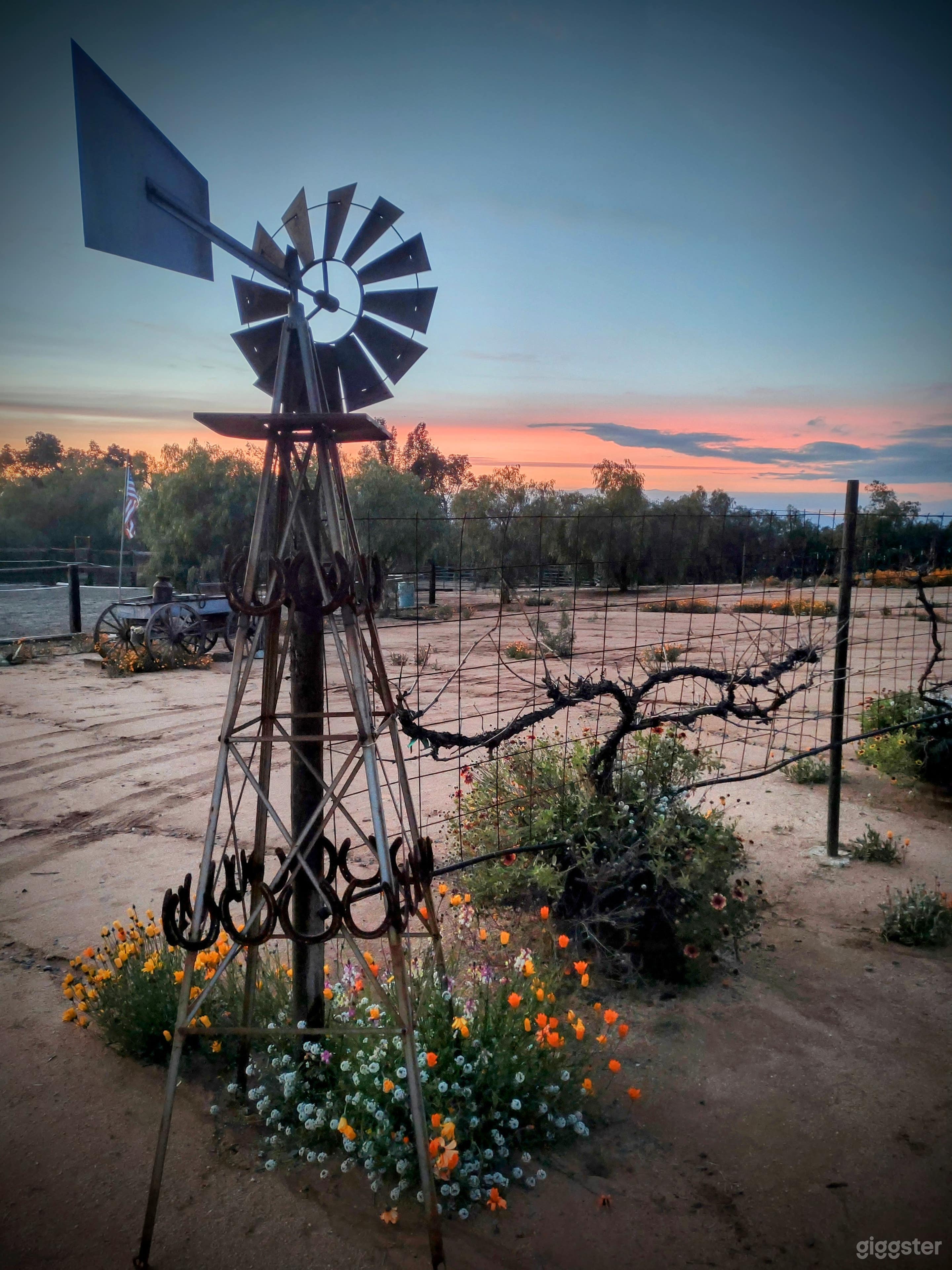 Classy Rustic Ranch & Retreat: Tranquility Meets the West Photo 4