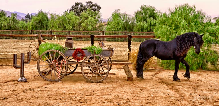  Elegante rustikale Ranch & Rückzugsort: Ruhe trifft den Westen 