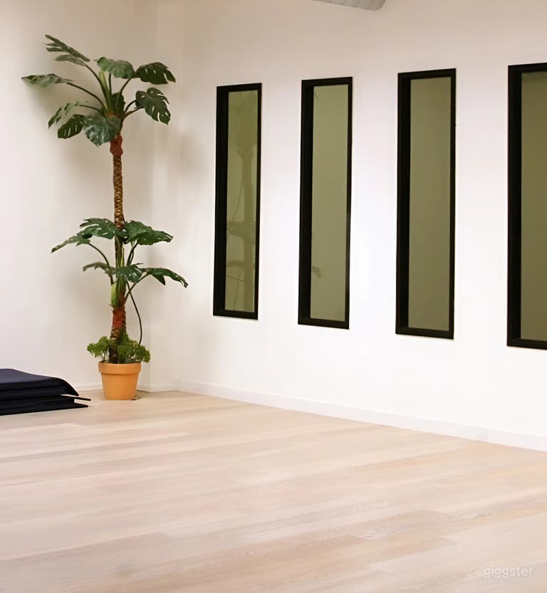  Studio de Pilates/Yoga lumineux et serein à Paris 