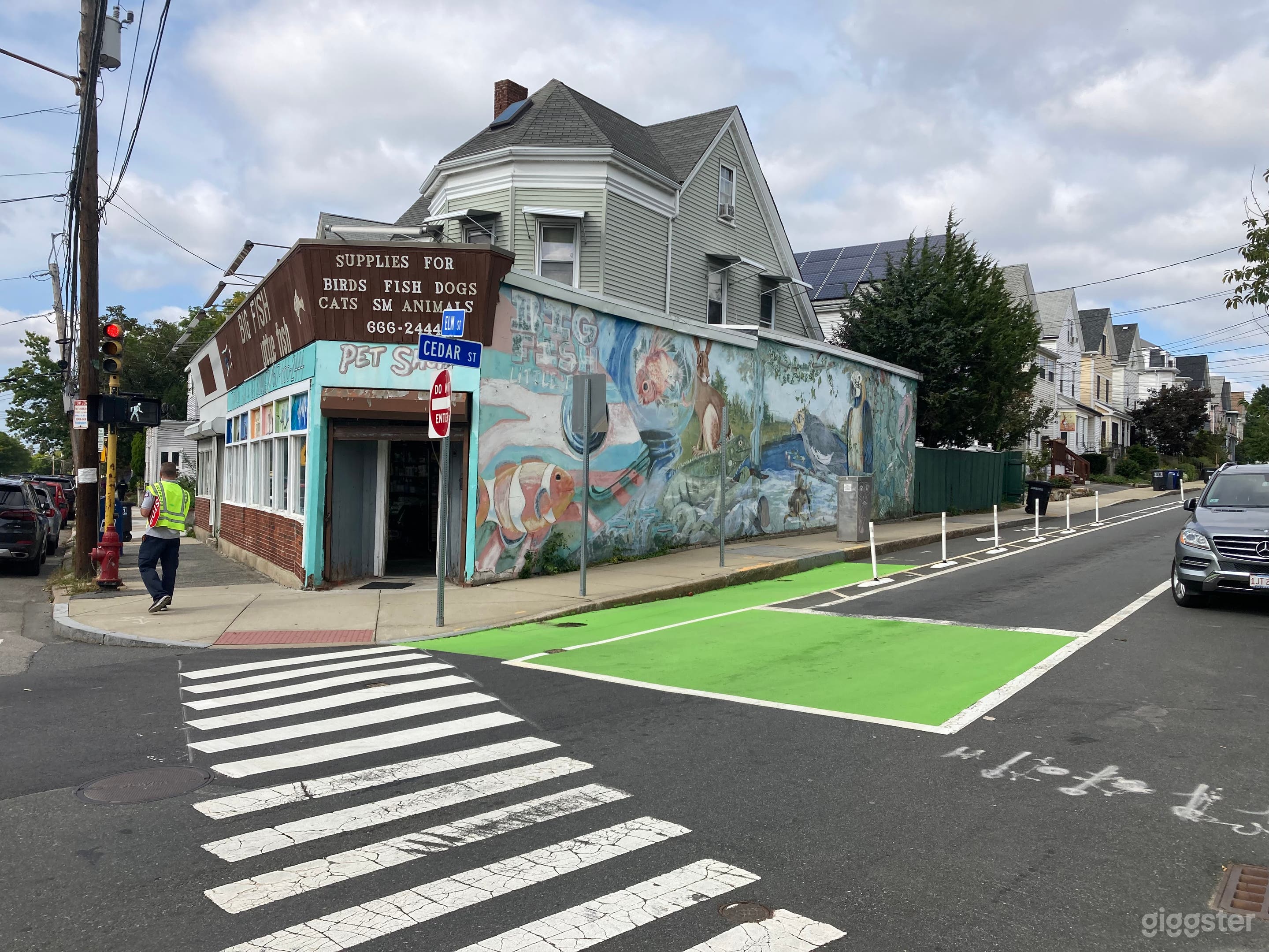 Big Fish little fish    55 elm stSomerville MAright side view